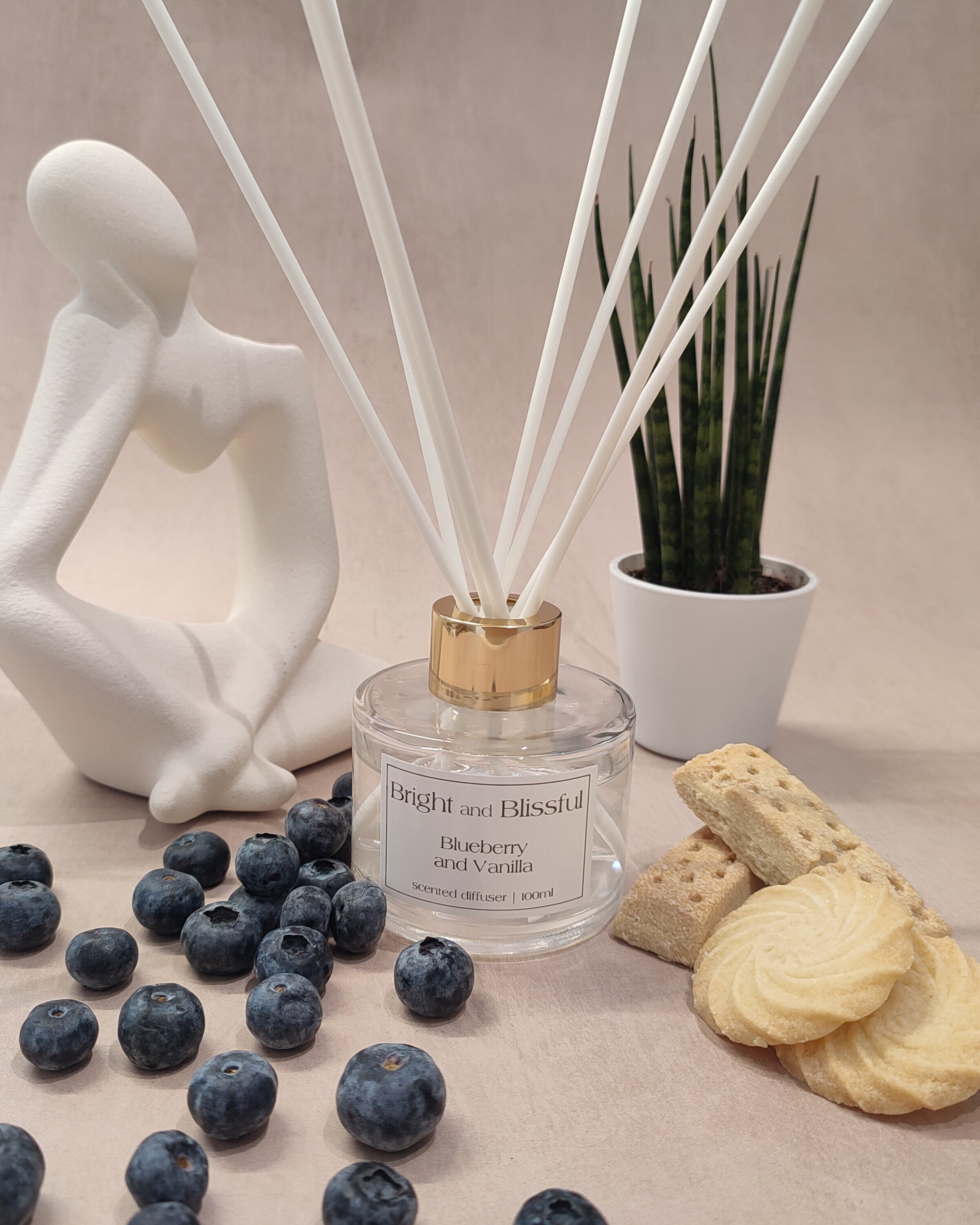 Reed diffuser with blueberries, cookies, and a plant on a neutral background