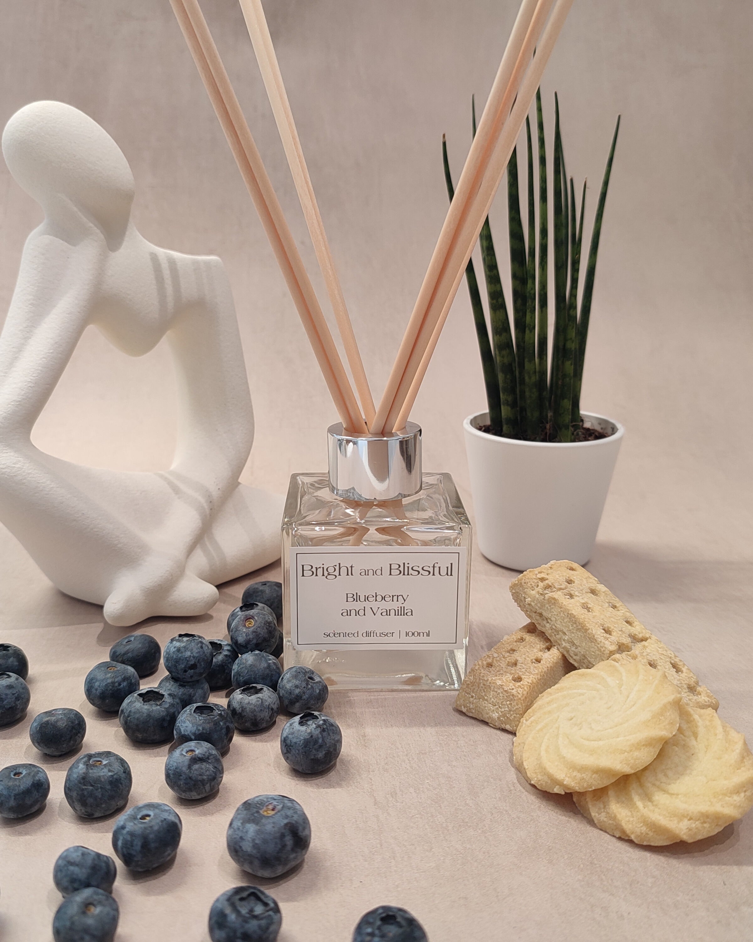 Diffuser with reeds, blueberries, cookies, and a plant on a neutral background