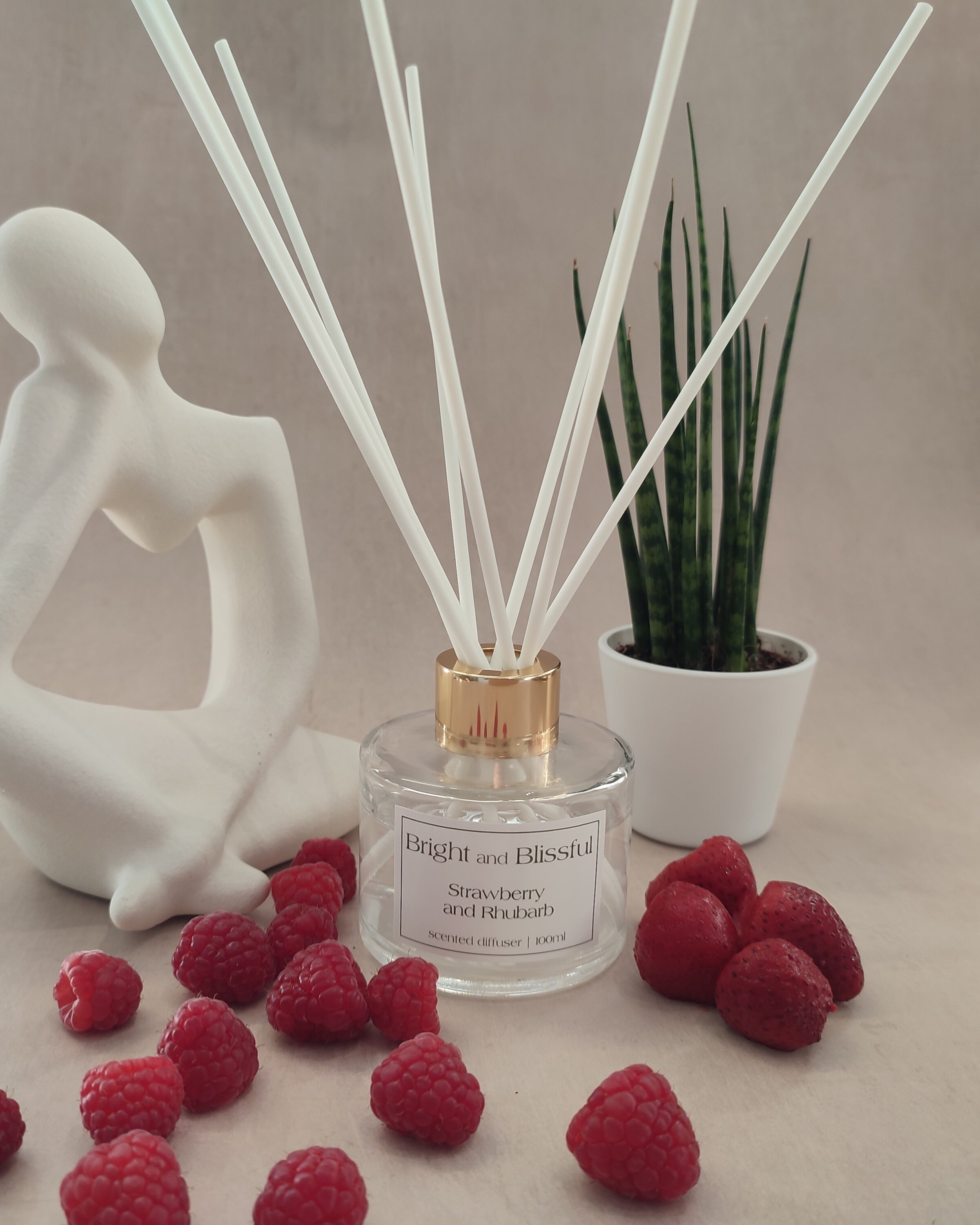 Reed diffuser with strawberries and a plant on a neutral background