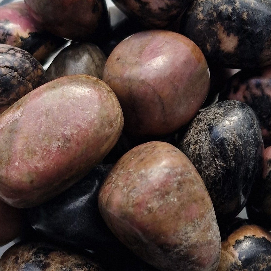 Group of Rhodonite Tumblestones 