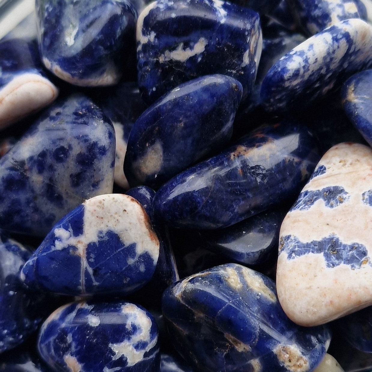 Group of blue and white Sodalite Tumblestones